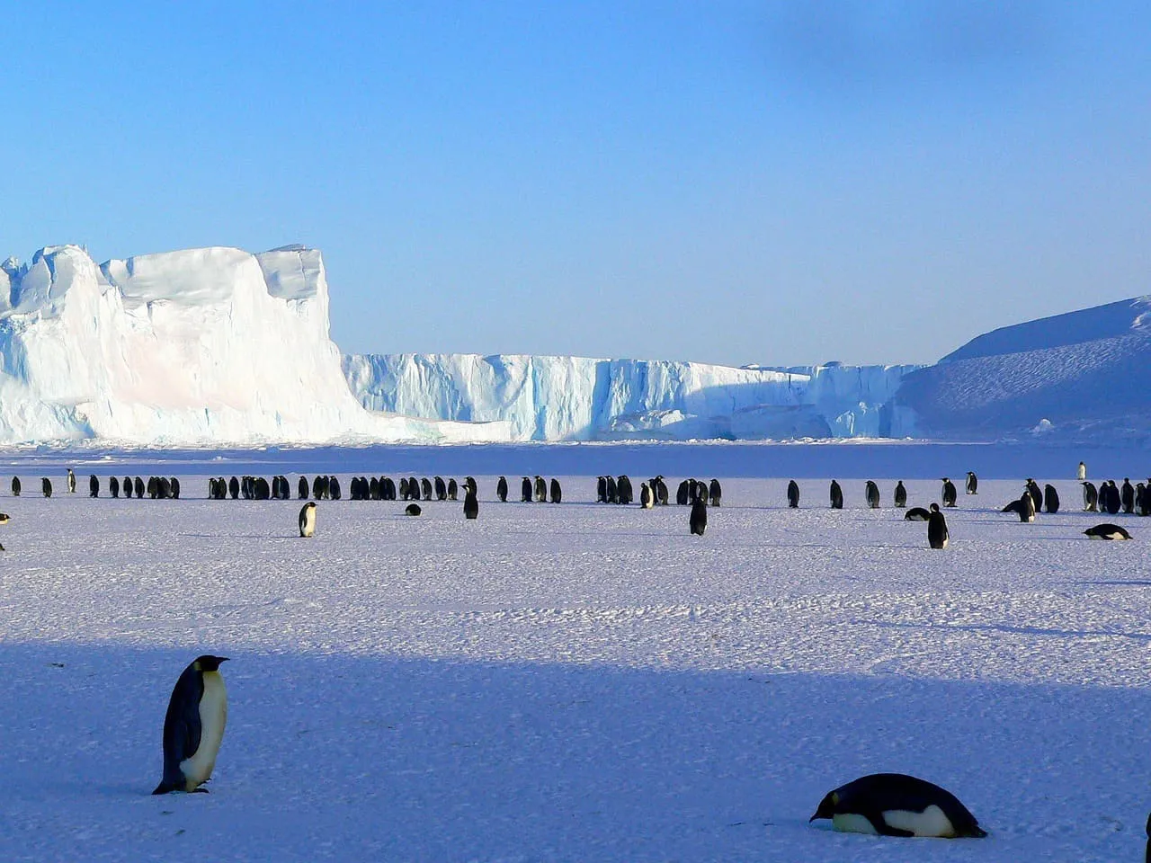 Nieve de la Antártida con microplásticos visibles, evidenciando la contaminación ambiental en zonas remotas.