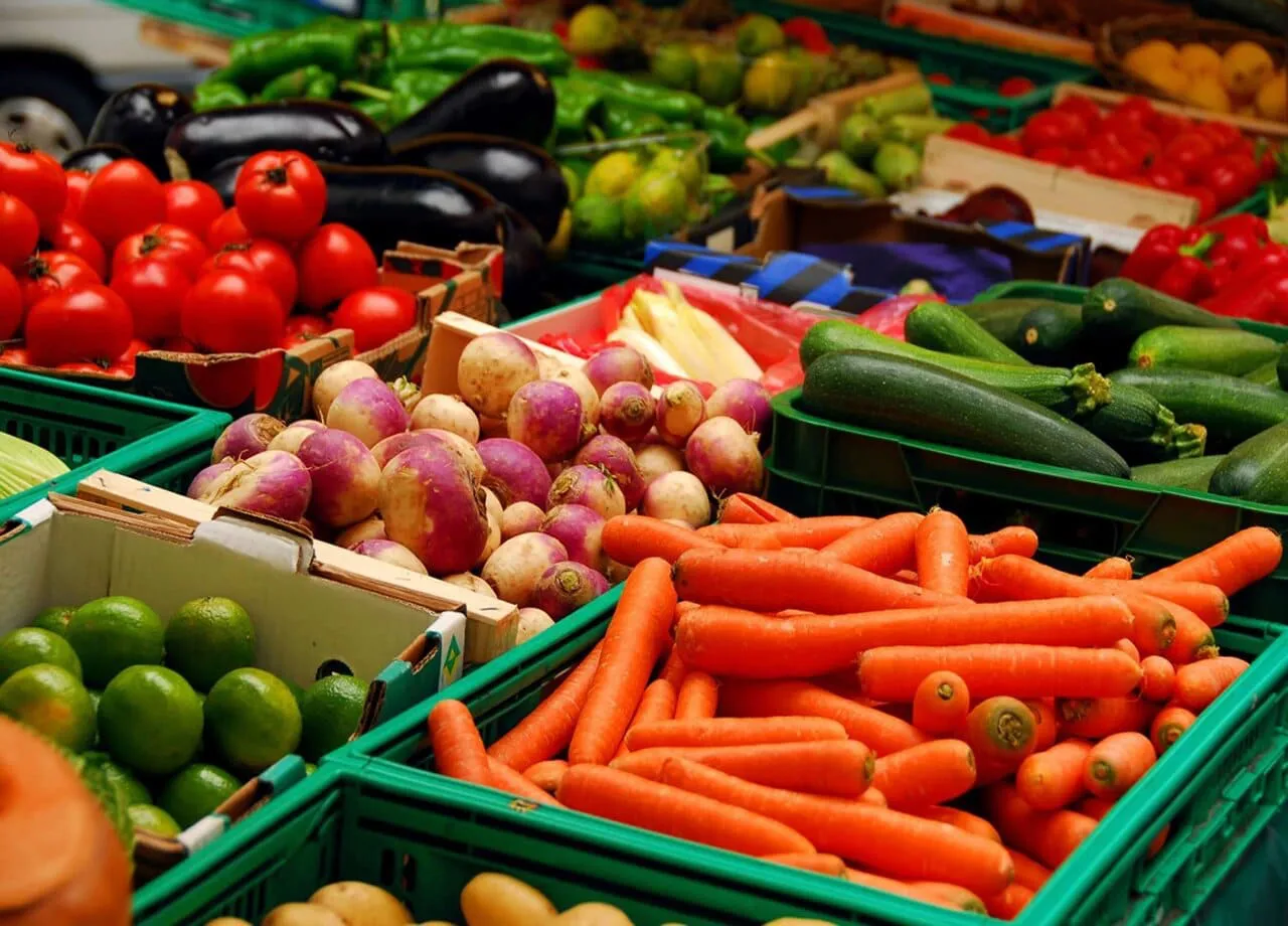Estudio de la Comisión Europea: Impacto de Acuerdos Comerciales en Exportaciones Agrícolas
