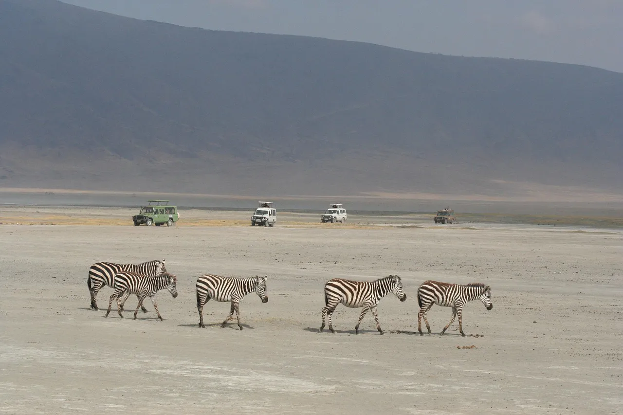 Paisaje de la sabana africana con fauna silvestre, ideal para un safari en África.
