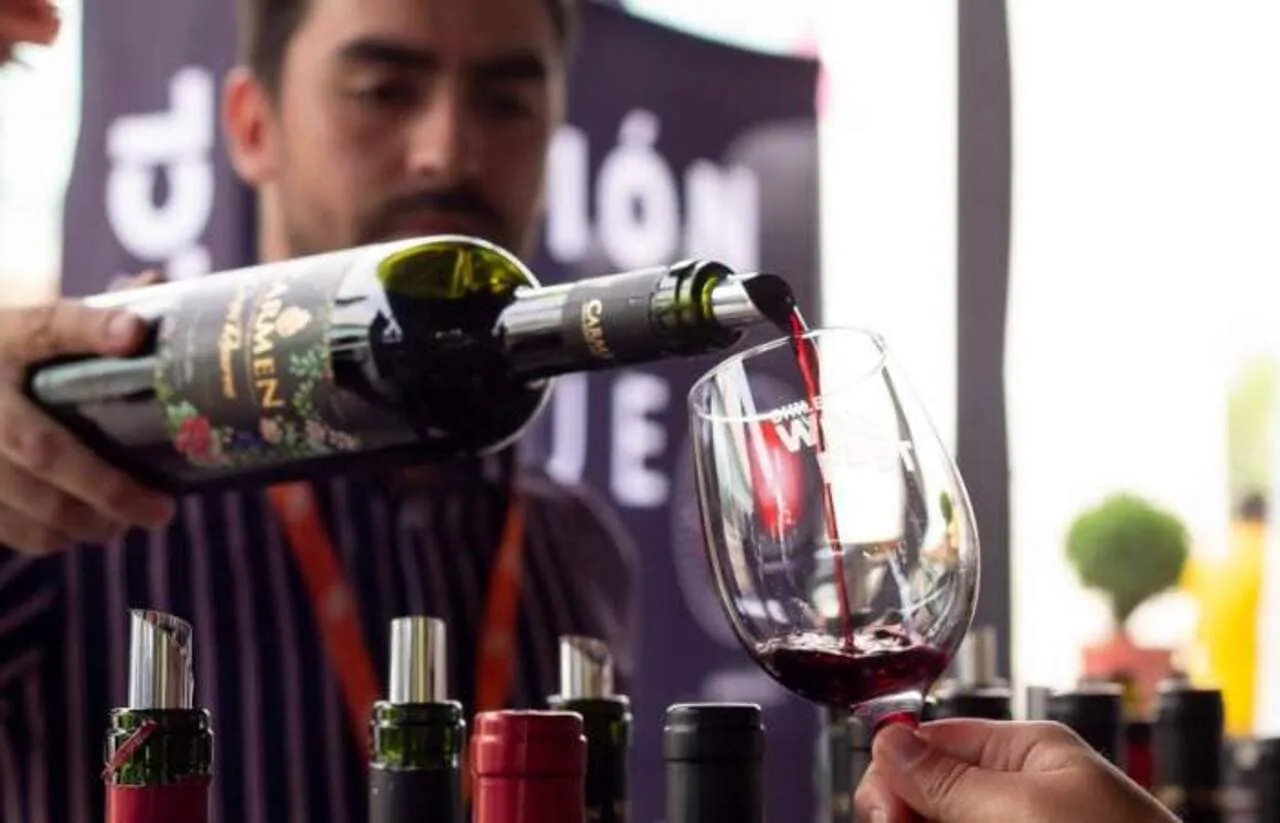 Disfruta del Día del Vino 2024 en Viña Santa Rita: Tours, Degustaciones y Folclore
