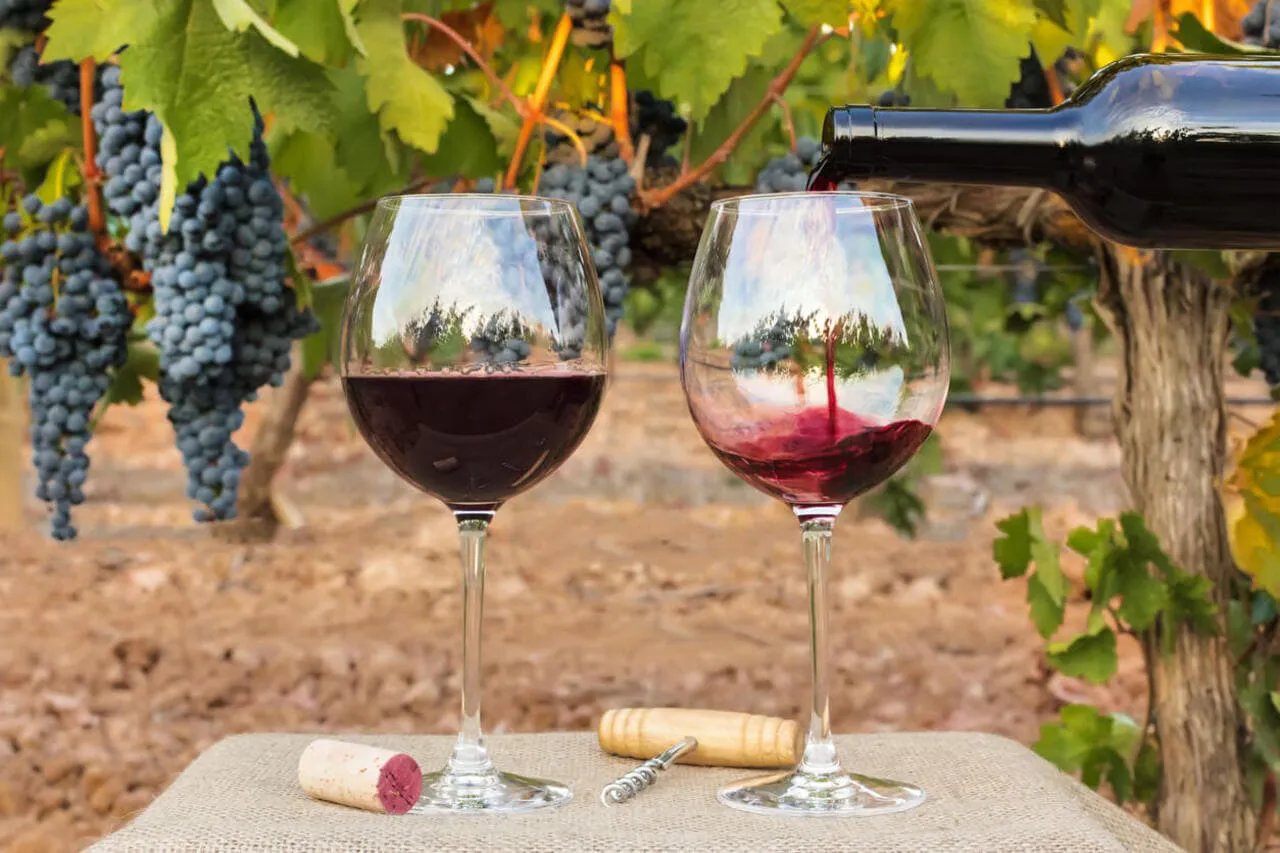 Viña Concha y Toro Reporta Incremento del 16,9% en Ventas: Cuarta Alza Consecutiva