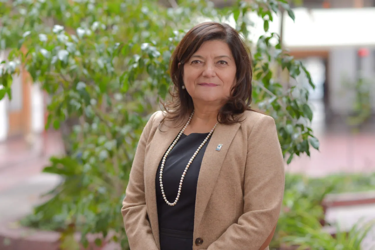 El caso de la USS y el imperativo de un nuevo ciclo de reformas a la educación superior en Chile