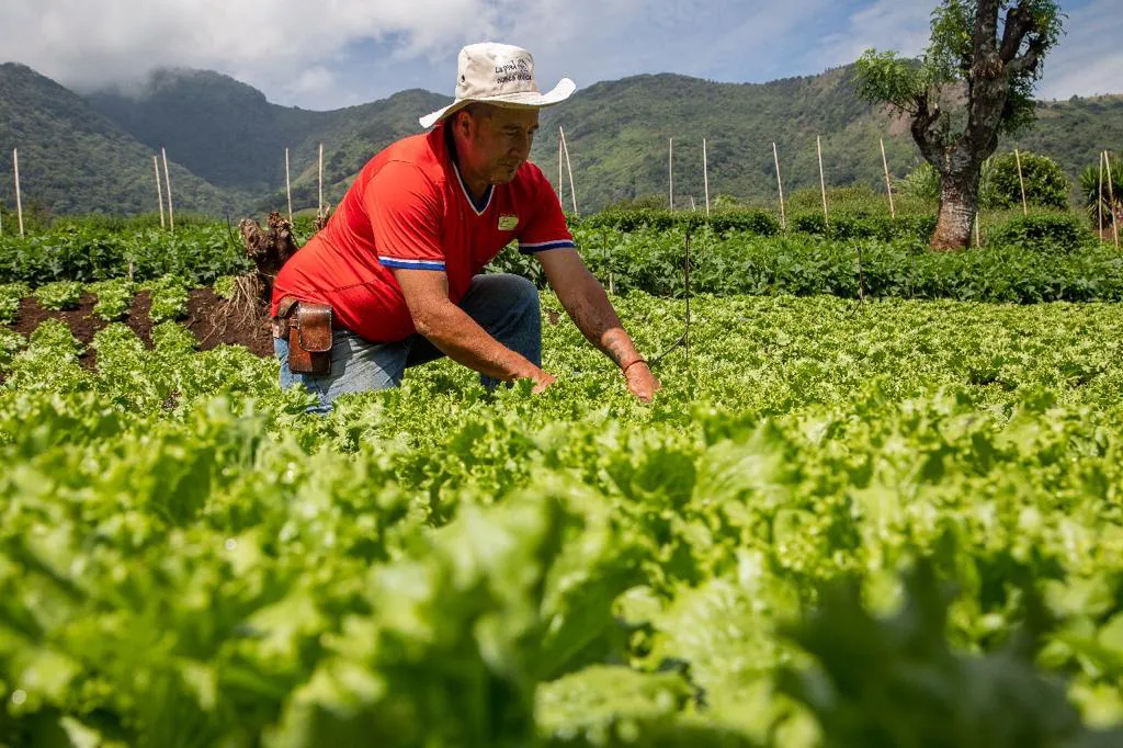 Protestas Agrarias en Francia: Agricultores Demandan Mejoras y Continúan Manifestaciones