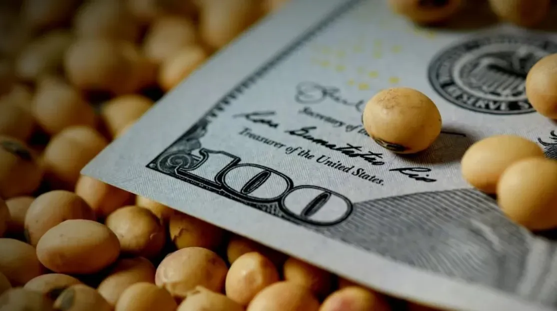 El campo argentino se encamina hacia una de sus mayores cosechas históricas