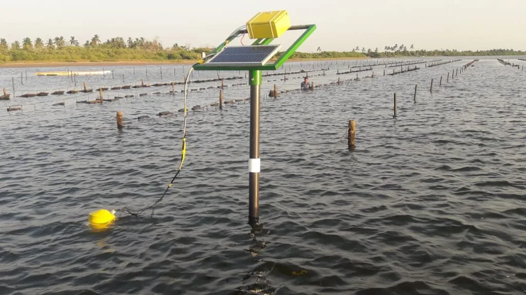 Preemar: Innovación Tecnológica para Proteger la Acuicultura