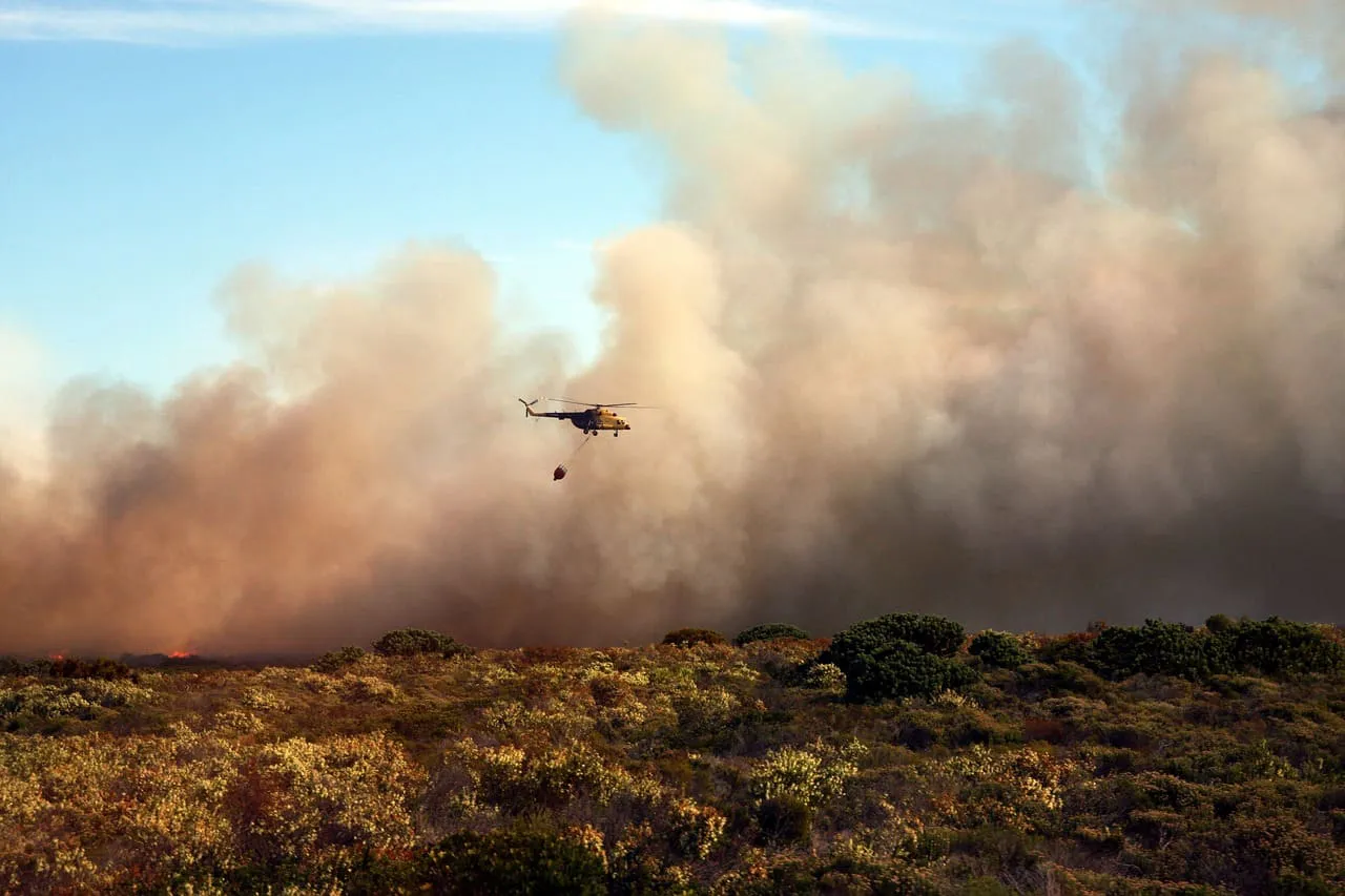 Incendio forestal en Paine con humo visible cerca de sectores poblados, destacando la labor de bomberos y Conaf.